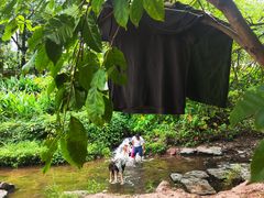 -重庆彩云湖湿地公园