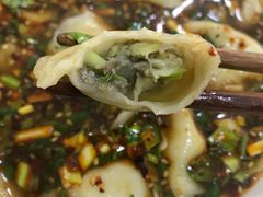 牛肉韭黄饺子-尤素福东举院饺子馆