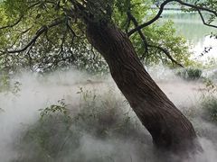 -东湖落雁景区
