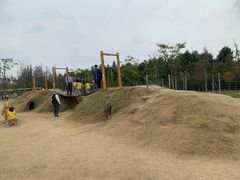 -上海长兴岛郊野公园