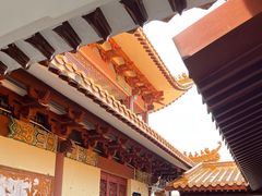 -深圳仙湖植物园