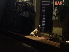 iphone_upload_pic-迦南D BAR