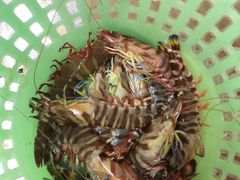 -南海渔家•海鲜•正宗海南菜(海棠湾店)
