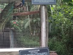 -厦门悦华酒店