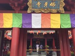 -新加坡佛牙寺龙华院