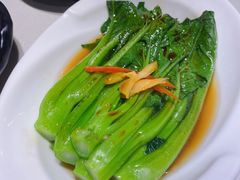 -新仙清汤牛腩(铜锣湾店)