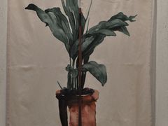 -如禾素食·下午茶·糖水