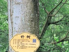 -上海怡沁园度假酒店