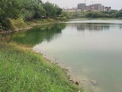 -广东花都湖国家湿地公园