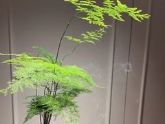 -无味舒食(思南公馆店)