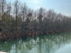 -上海海湾国家森林公园