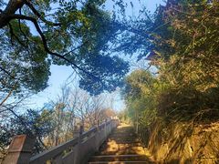 -杭州半山国家森林公园