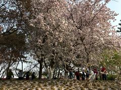 -元大都城垣遗址公园