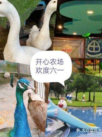 来这里和孩子一起欢度六一吧