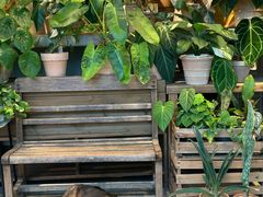 -自由生长植物工作室(深港花卉中心店)