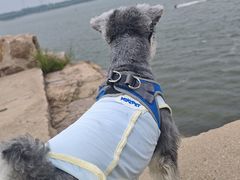 -观澜小洱海