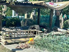 -大连森林动物园