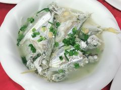 -蛇口康乐快餐鱼仔档(翠苑小区店)