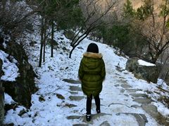 -阳台山自然风景区