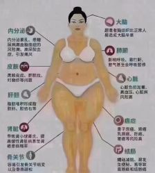 -香薇妮丝·定制减肥·身材管理