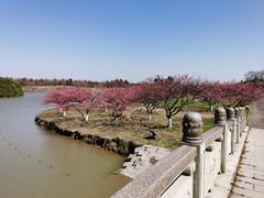 -上海海湾国家森林公园