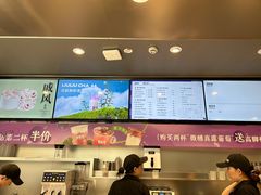 -TD66高山铁皮石斛养生茶饮