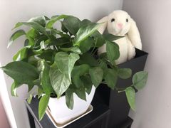 -ME觅妆·定制美妆·彩妆私教(菱角湖店)