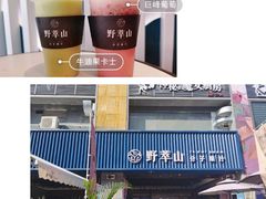 -野萃山·潮汕厚果汁(十亩地店)