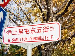 -三里屯东五街银杏大道