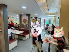 -魏家凉皮(黄雁村店)
