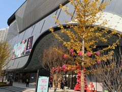 -新田360广场(郑州太康路店)