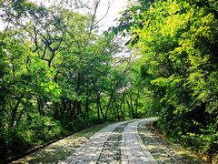-紫金山山顶公园