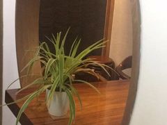 -少林功夫文化中心·独门独院