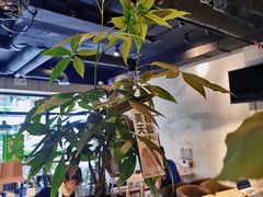 -ZM COFFEE(西安路店)
