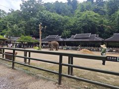 -野象谷景区