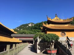 -普陀山风景名胜区-法雨禅寺