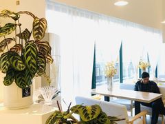 -香草山咖啡店·外教英语角·自习室(盛世商都店)