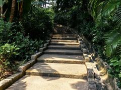 -九龙公园