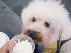 -星巴克(上海长宁来福士1F店)