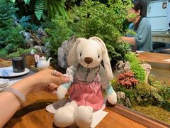 -森味薪火烧•烧鸟居酒屋•日本料理(望京店)