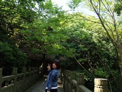 -普陀山慧济禅寺