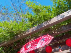 -白马涧龙池景区