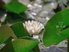 -国家植物园