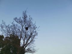 -天鹅湖体育公园