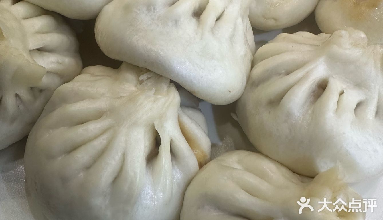 返京第一口必须是庆丰包子！这口终于续上了