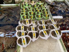 -南沙十九涌渔人码头-南门