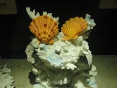 -亚龙湾中心广场·贝壳馆