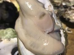 -蠔爺王志德生蚝馆(金沙湾店)