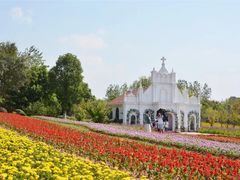 -杭州湾海上花田景区