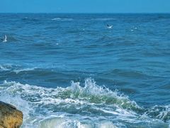 -老虎石海上公园